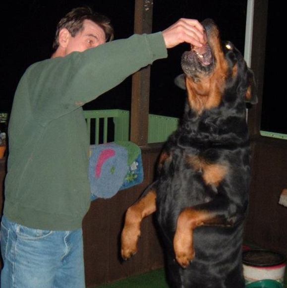 davemare2004